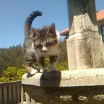Casa De Labranza A Rega Combarro