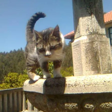 Casa De Labranza A Rega Combarro