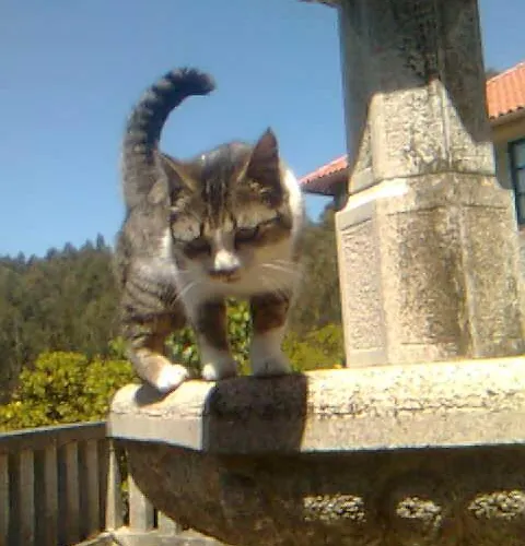 Casa De Labranza A Rega Combarro